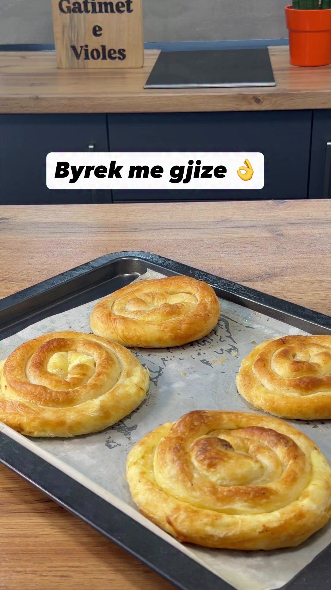 @gatimet.e.violes