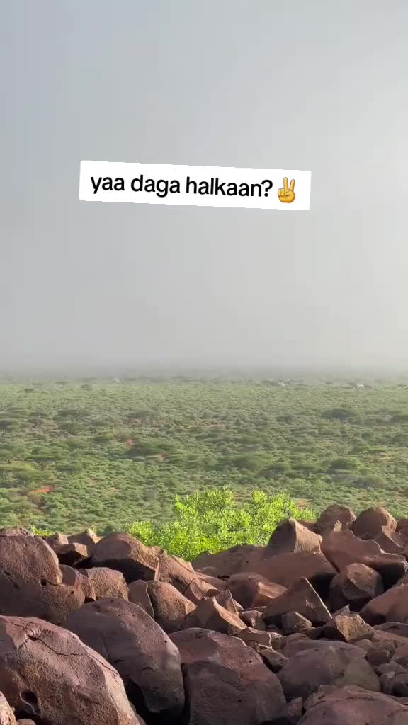 @BURGOOSOLE🇸🇴