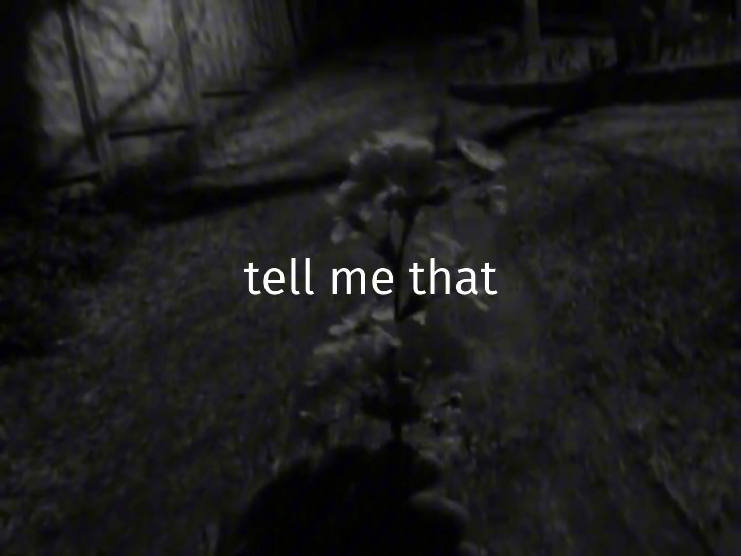 @𝖎 𝖍𝖆𝖙𝖊 𝖒𝖞 𝖋𝖆𝖈𝖊