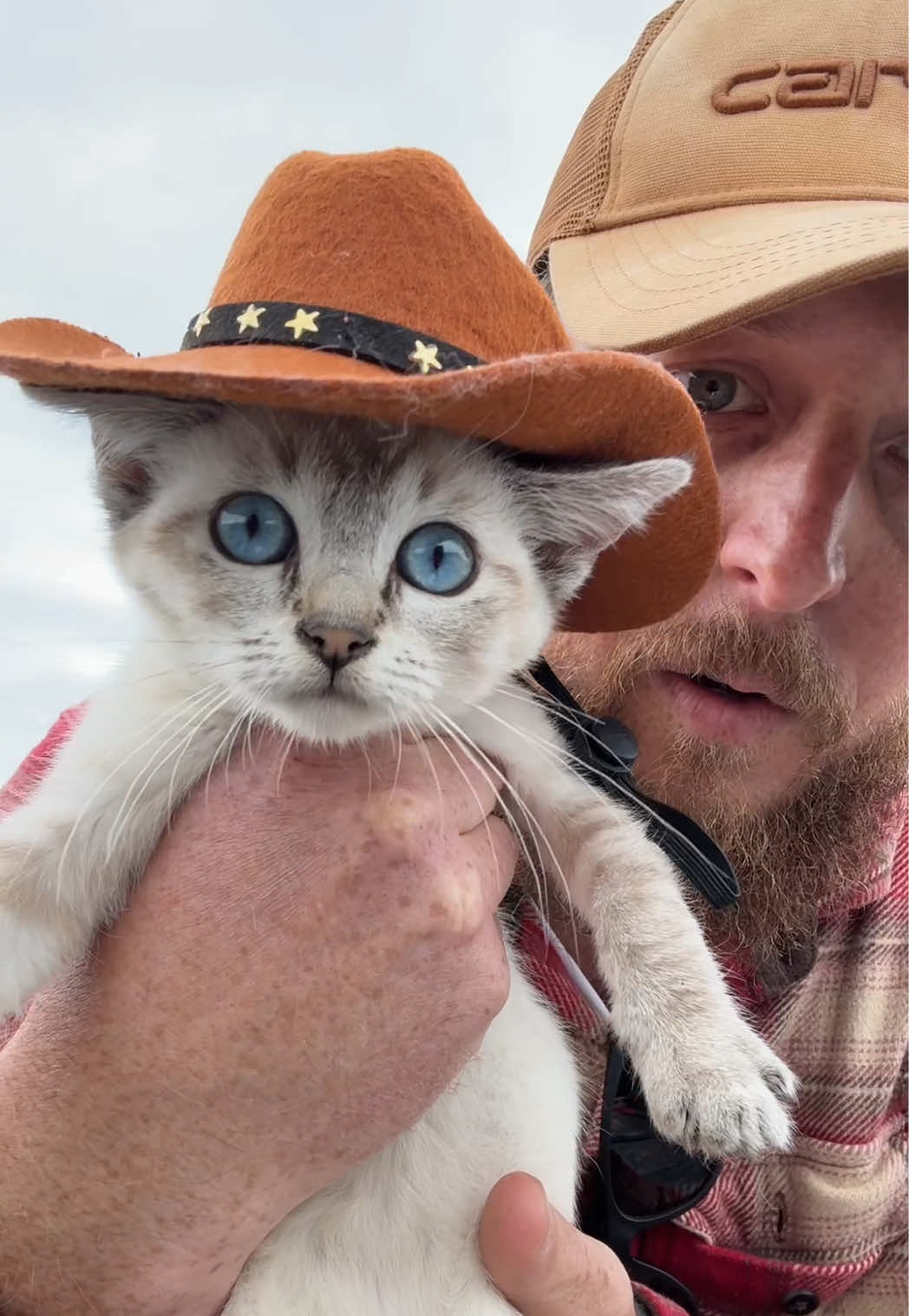 @大胡子牛仔 The Bearded Cowboy