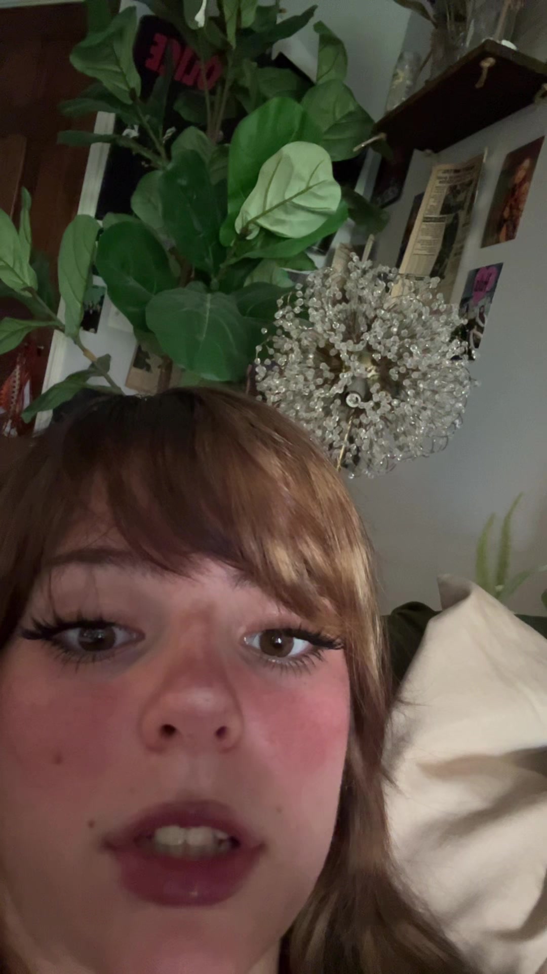 @dillpicklepeanuts
