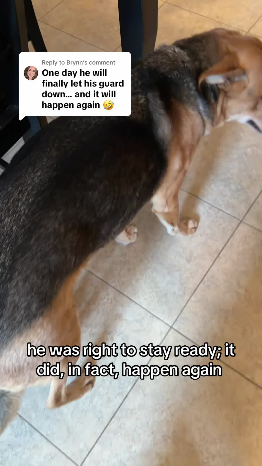 @D E V I N T A Y L O R