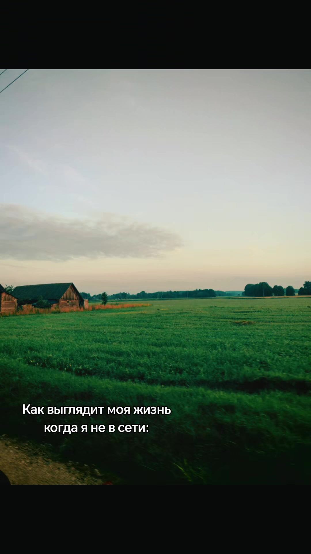 @VERONIKA BULAK
