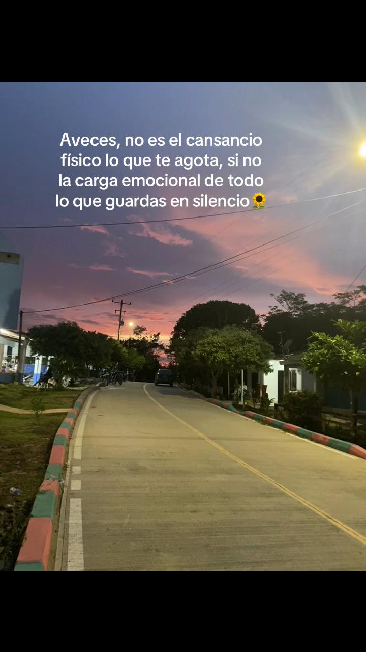 @Vivi Sofi736