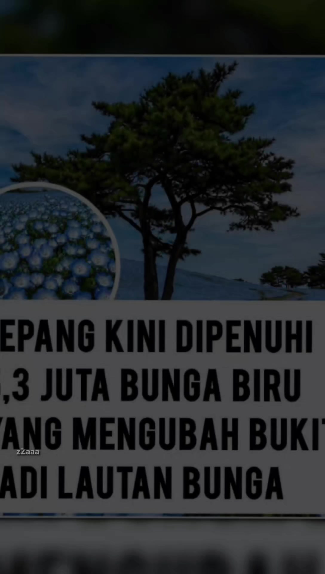 @็ง-๐ฏ๐๐๐๐