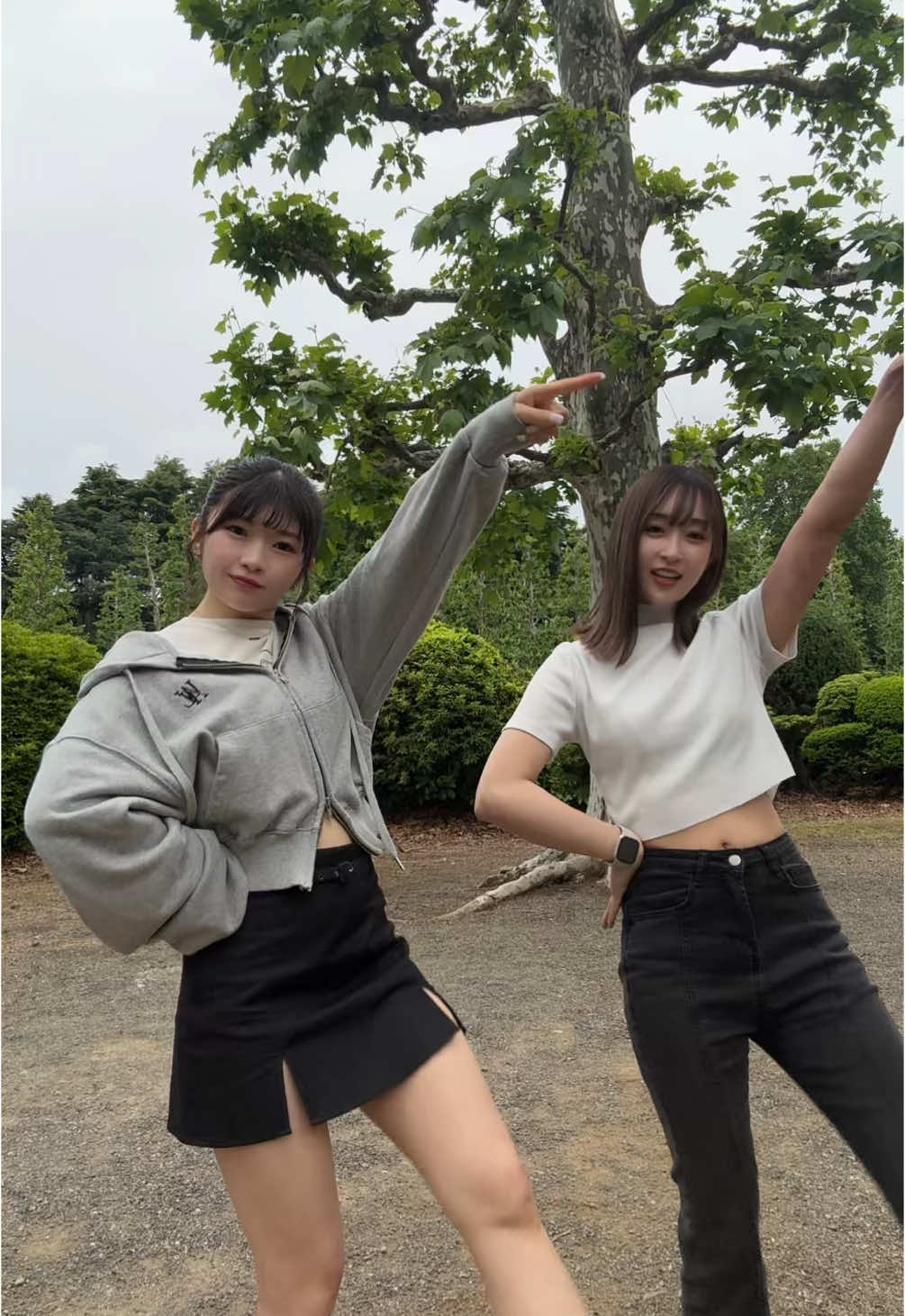 @蛍火