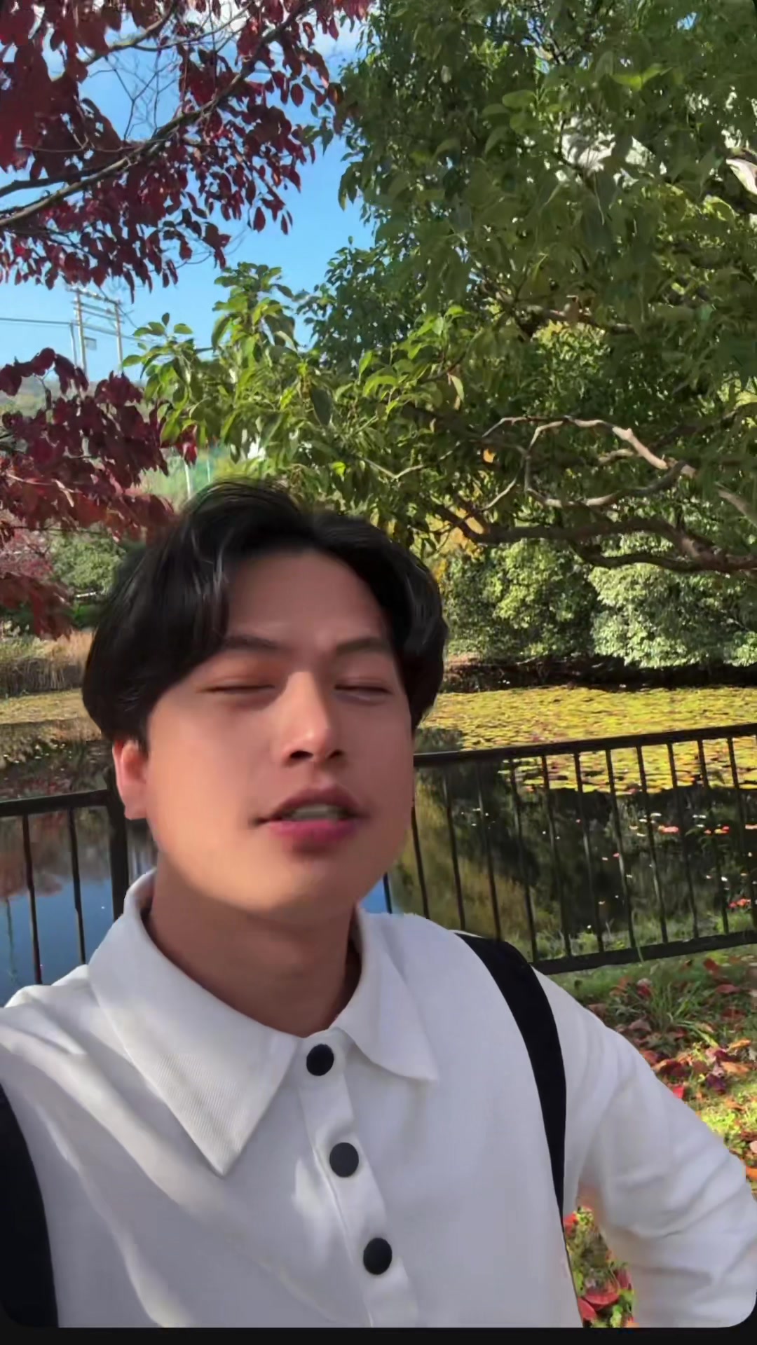 @YANG SENPAI