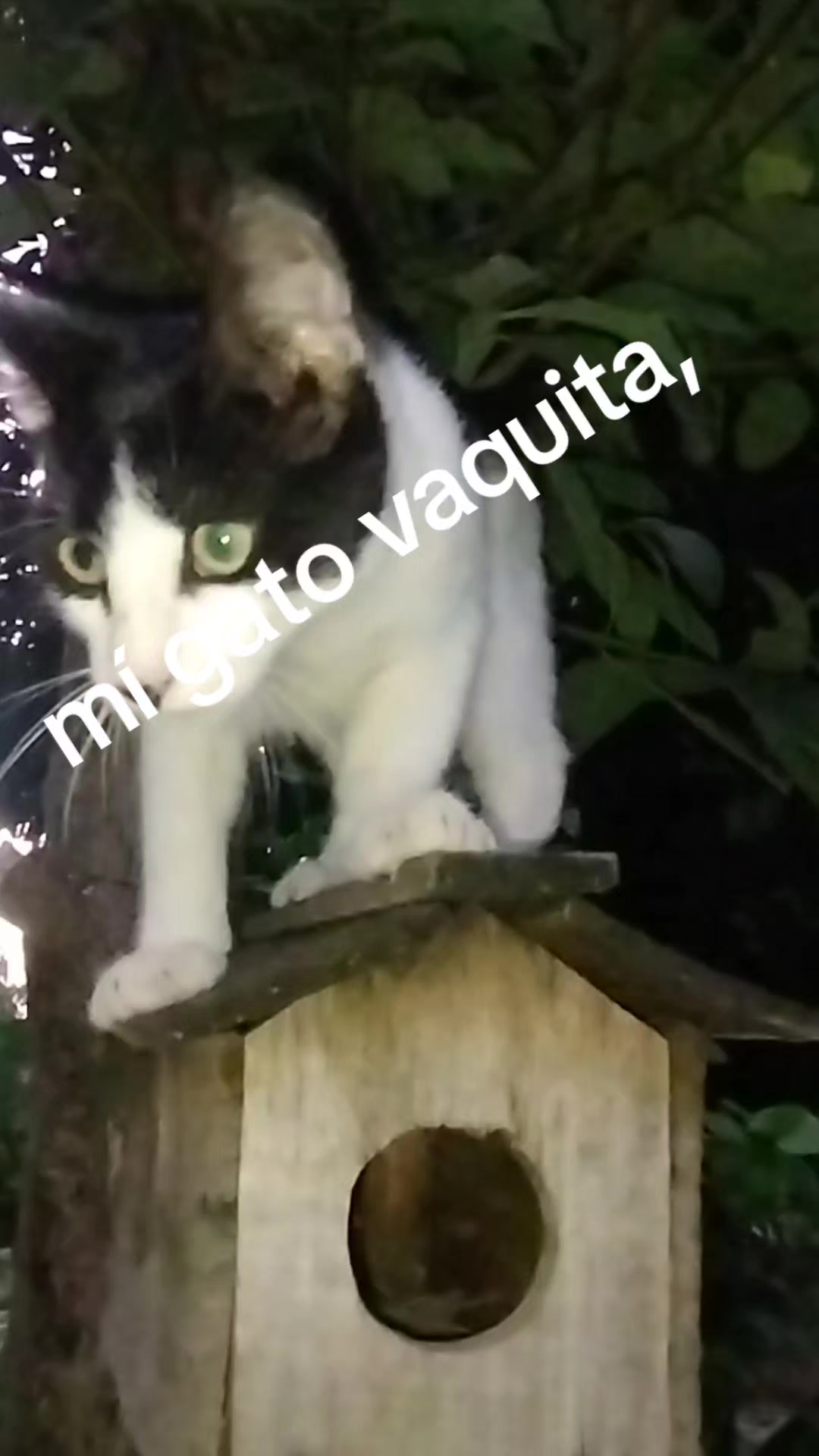 @Juank🇦🇷