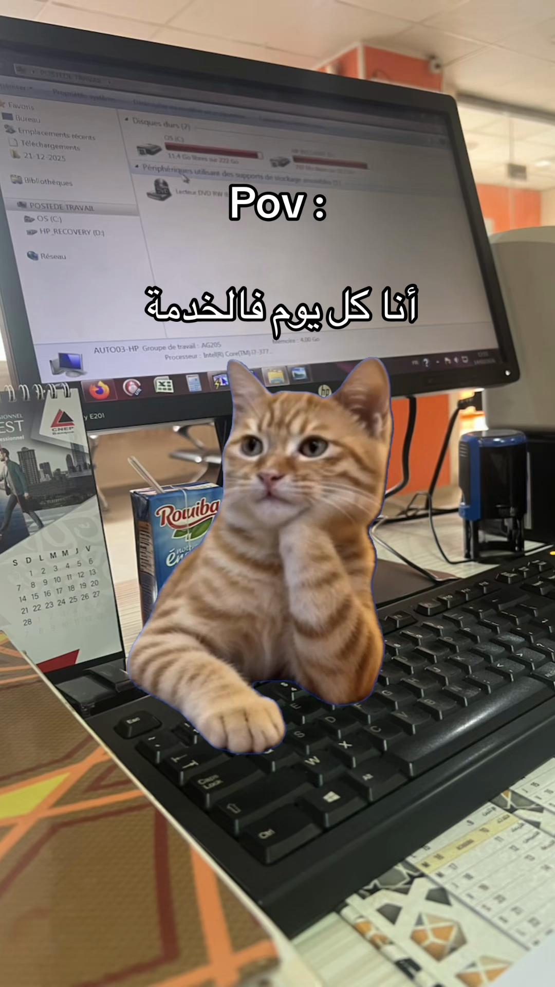 @๐ฉท