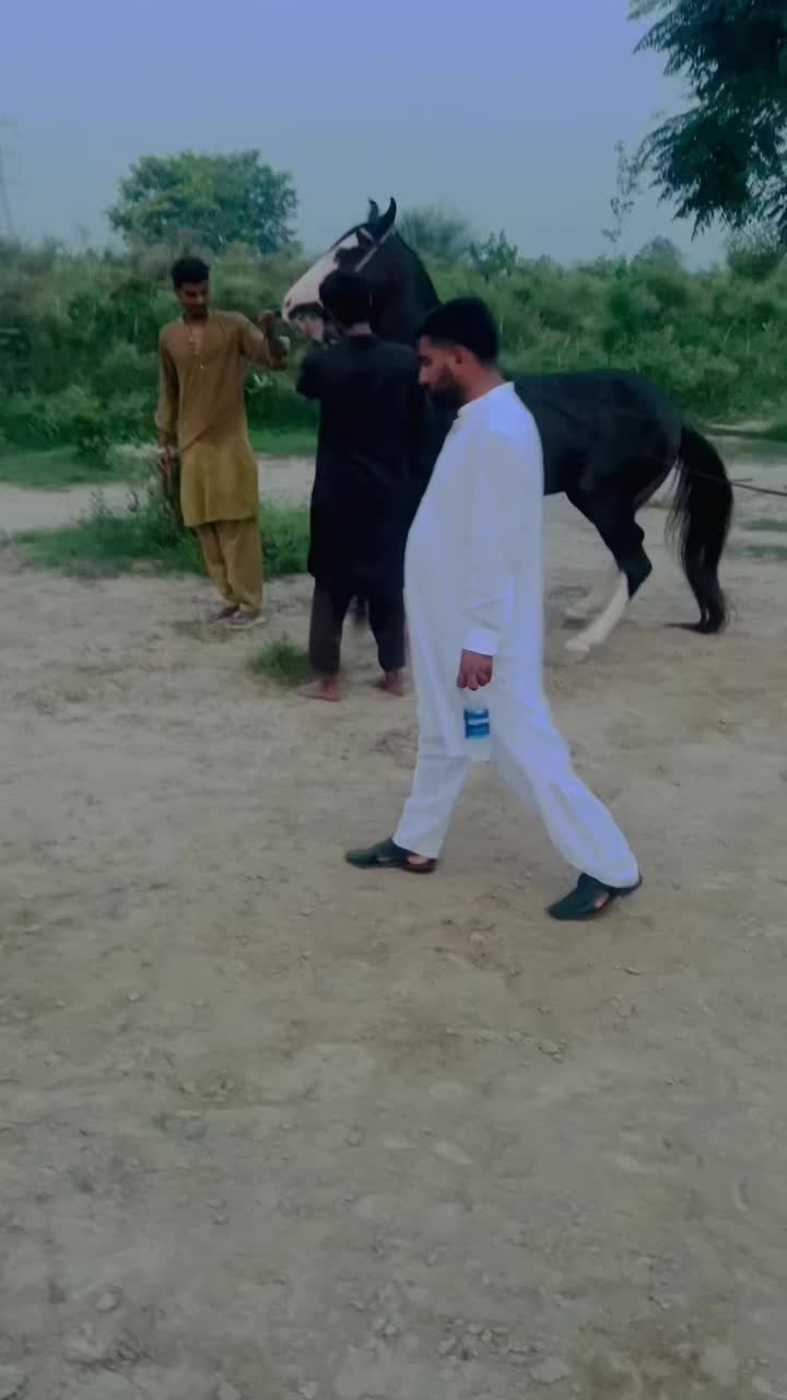 @چوھدری تصدق مالک چیمہ