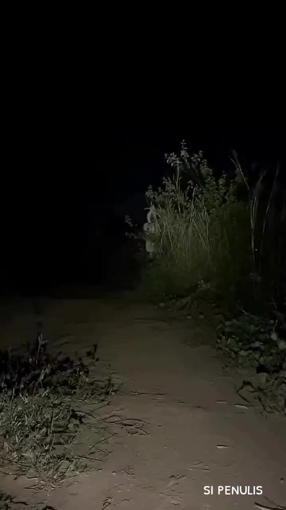 @Si Penulis