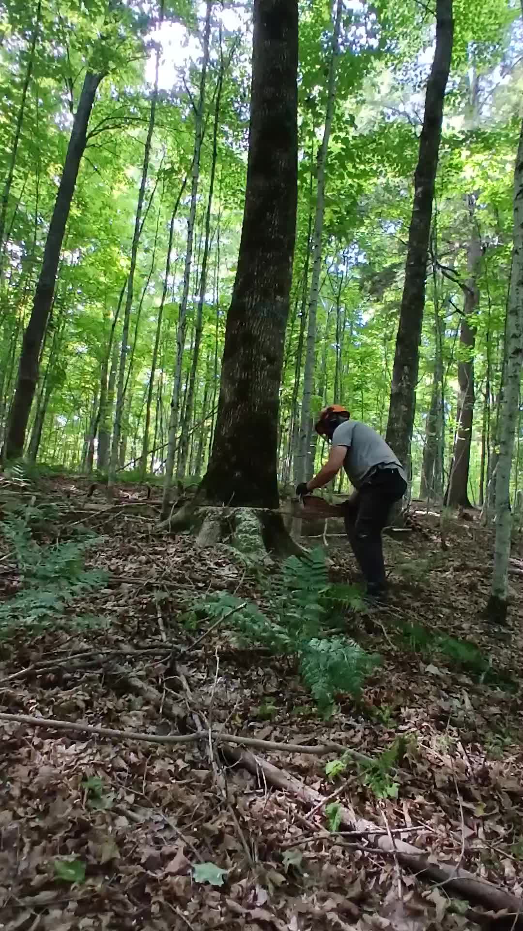 @JoeyLogger