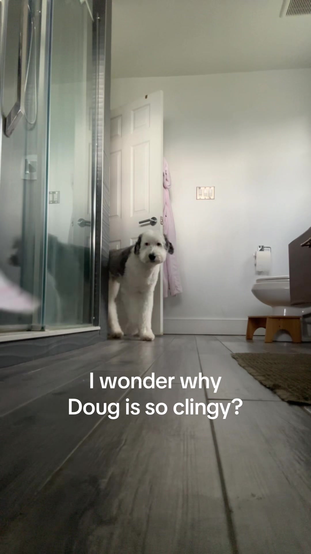 @Dougy
