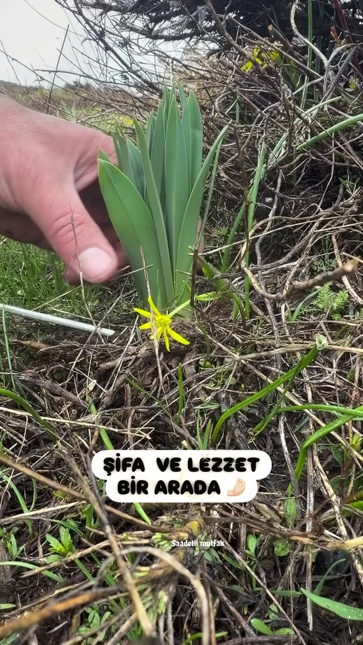@saadetli_mutfak_