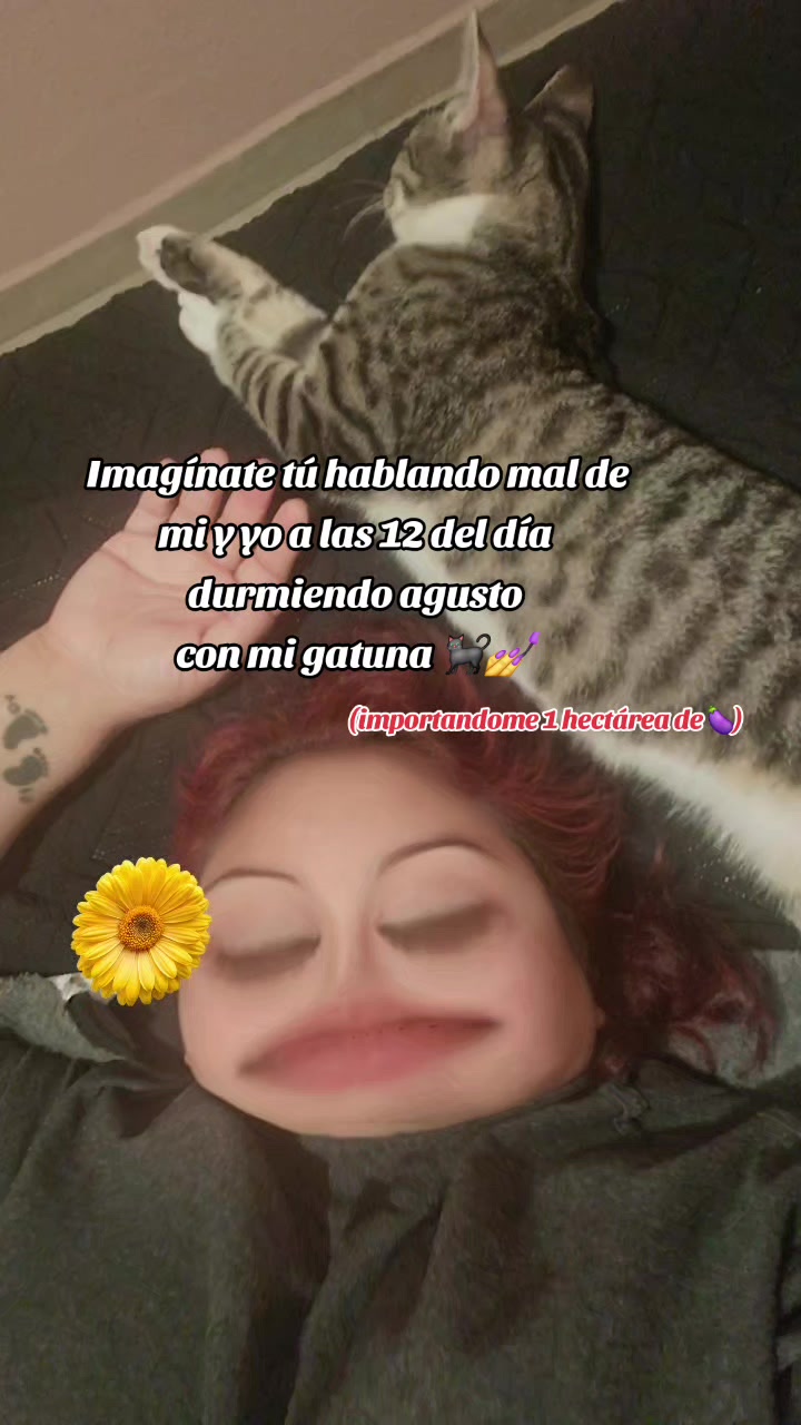 @frijolito 🐈⬛
