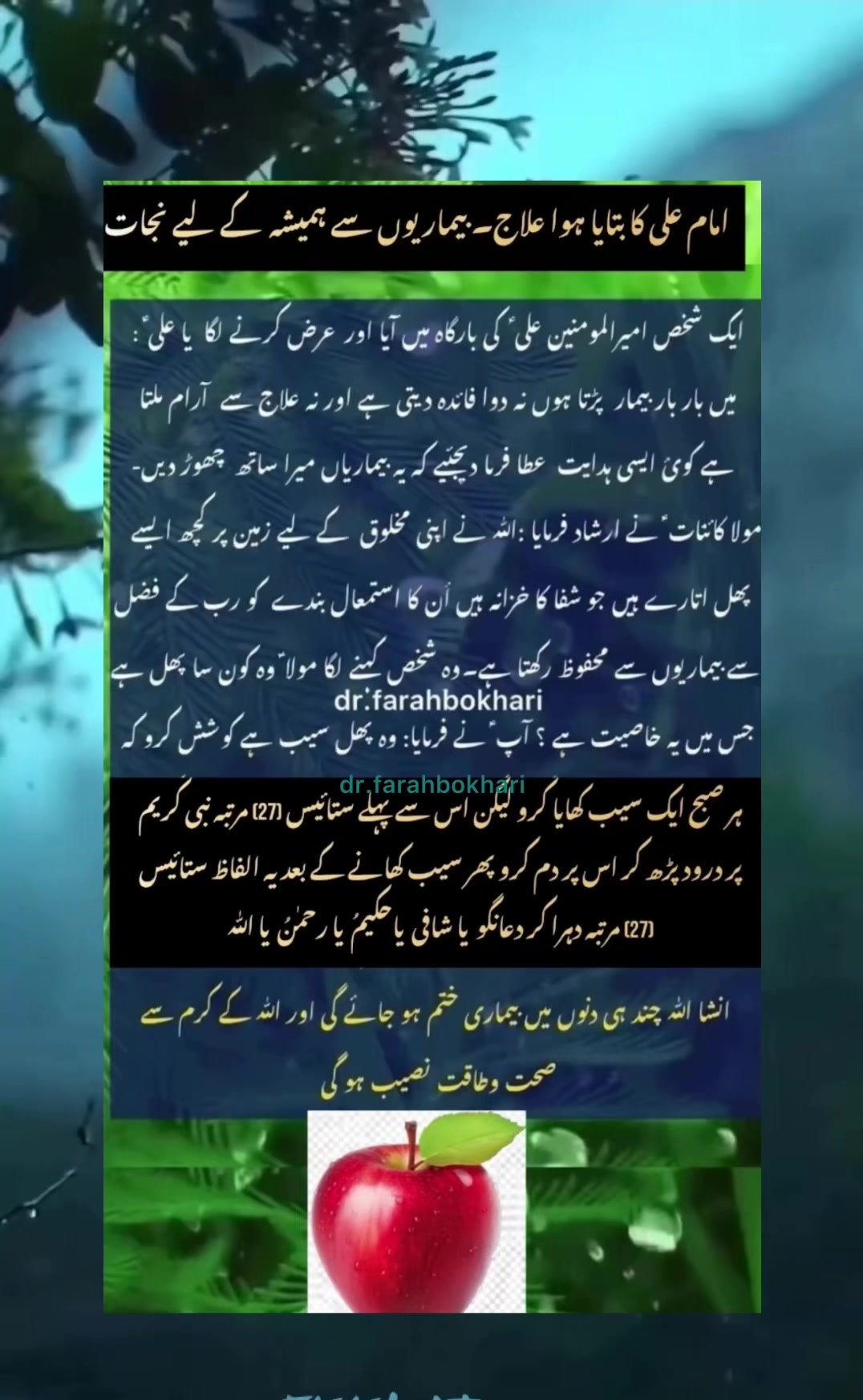 @dr.farahbokhari