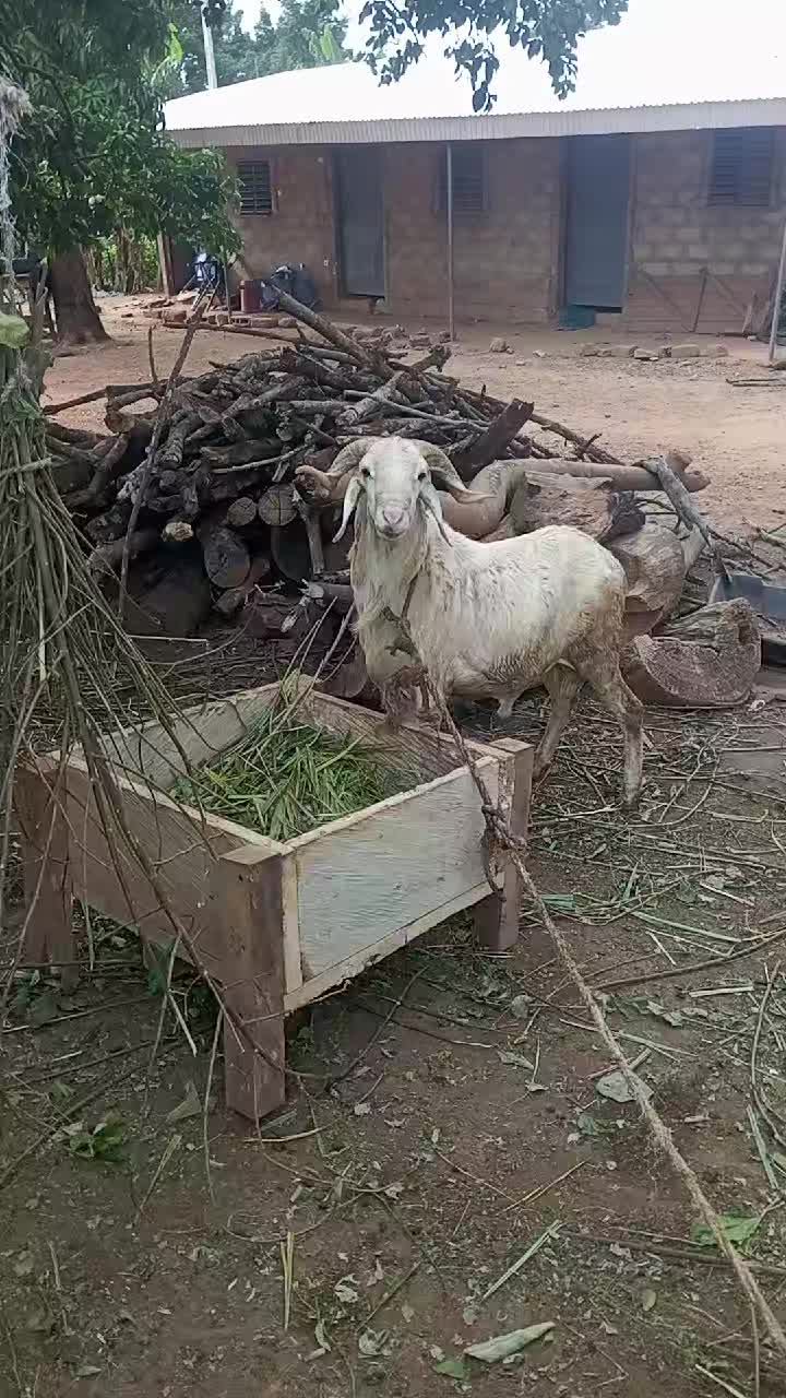 @Sangaré Moussa
