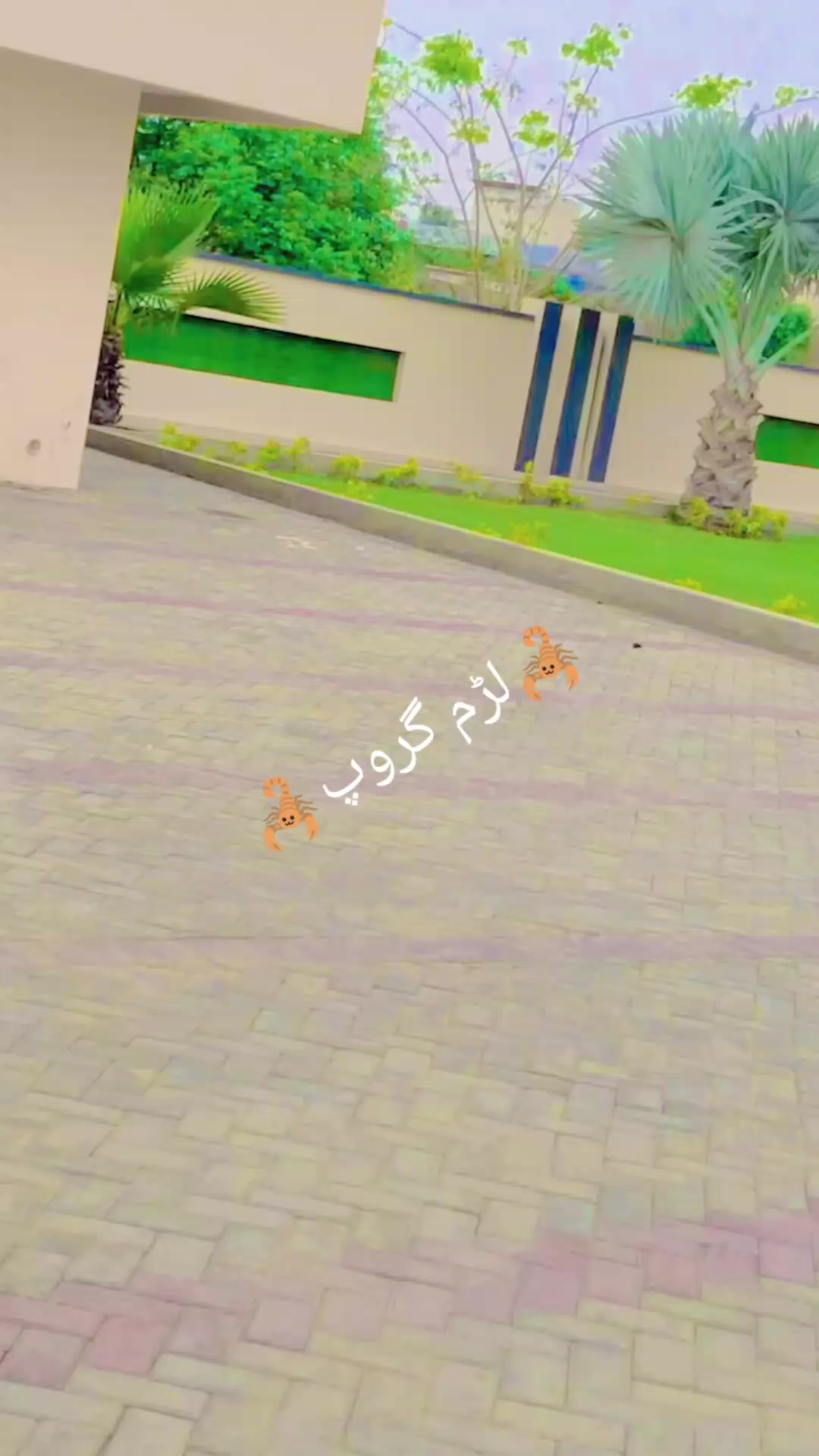@🦂شیر جان کلاخیل 804🦂