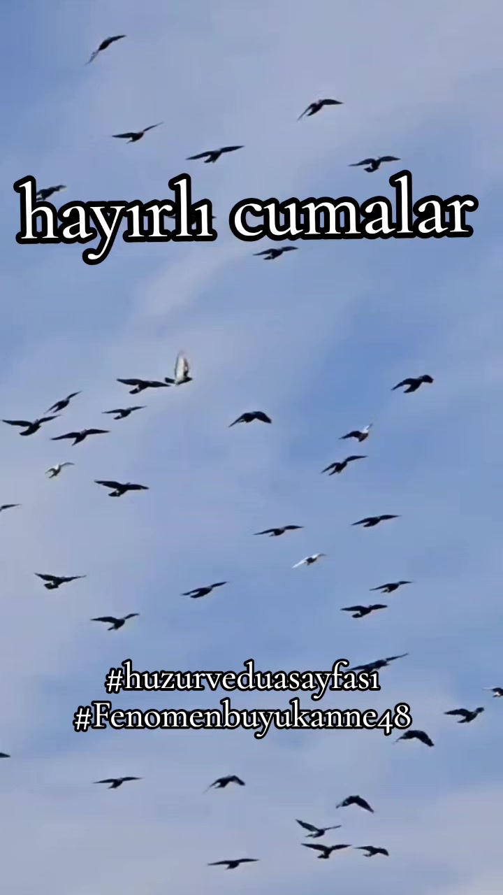 @Fenomenbuyukanne48