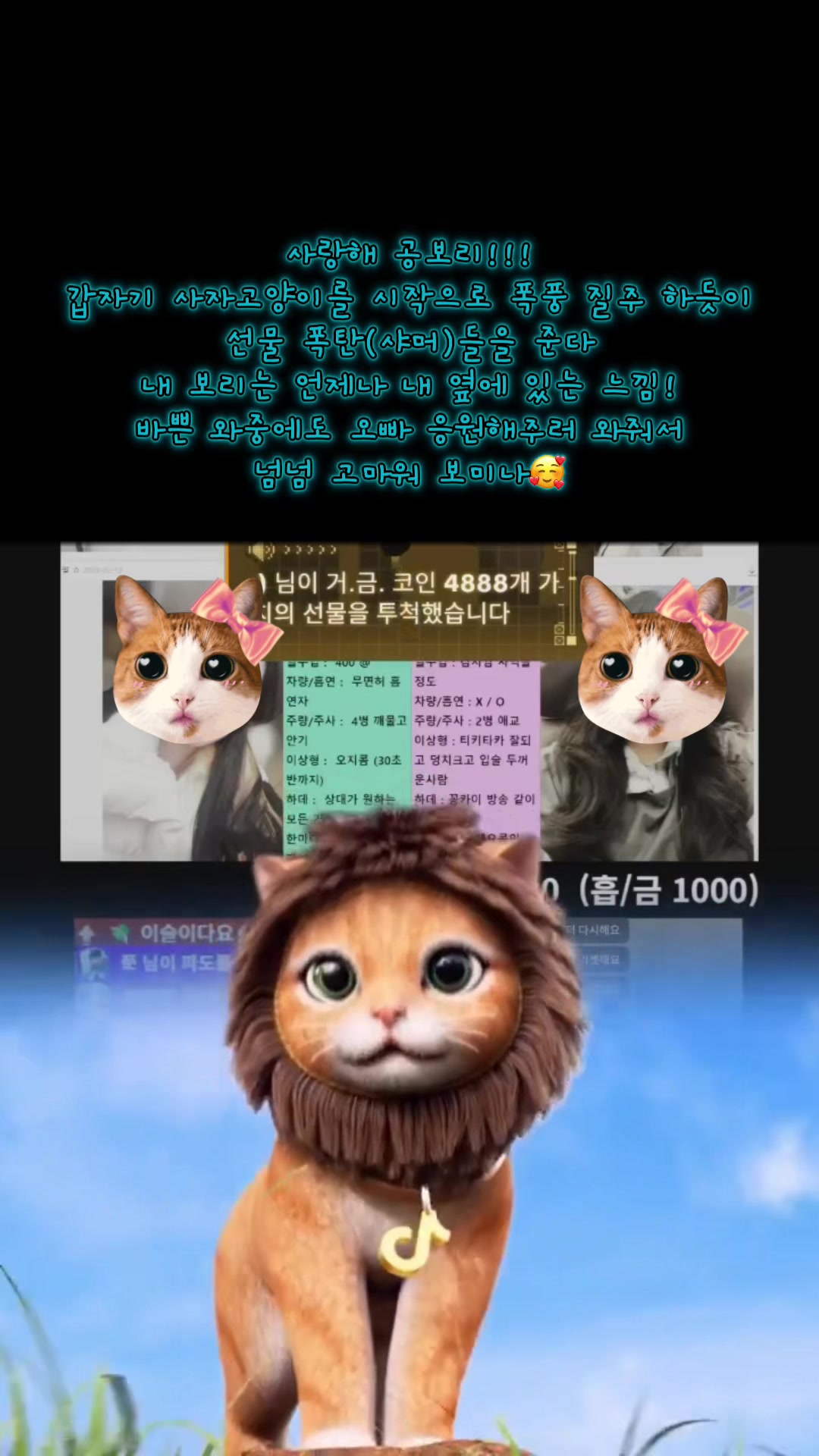 @๐ธ ๊ณต์นด์ด