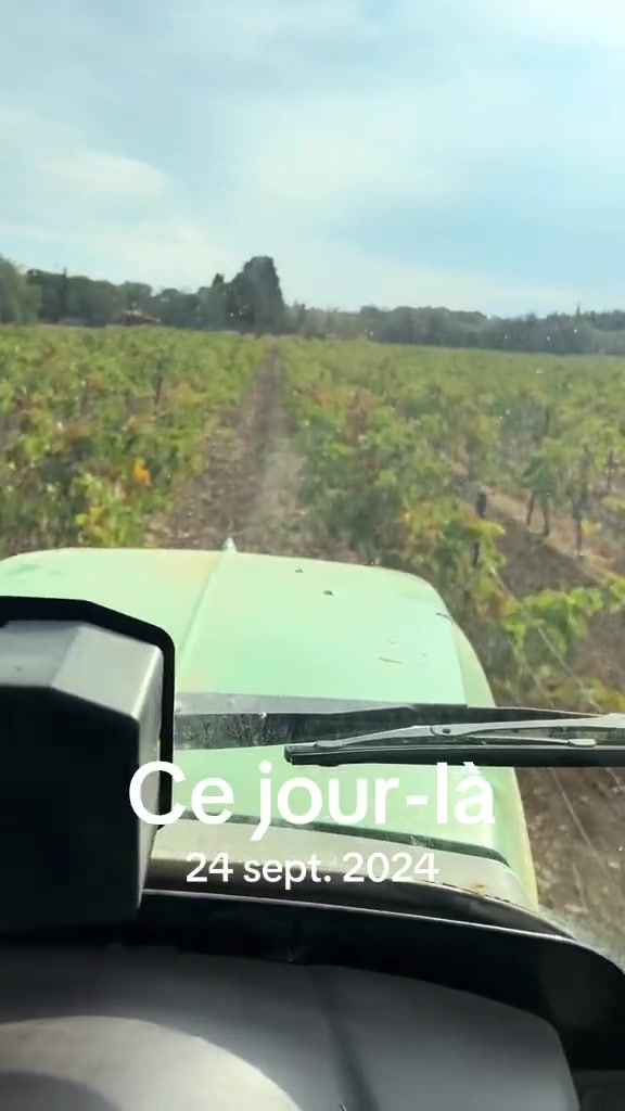 @Nico 🍇🍷🇫🇷