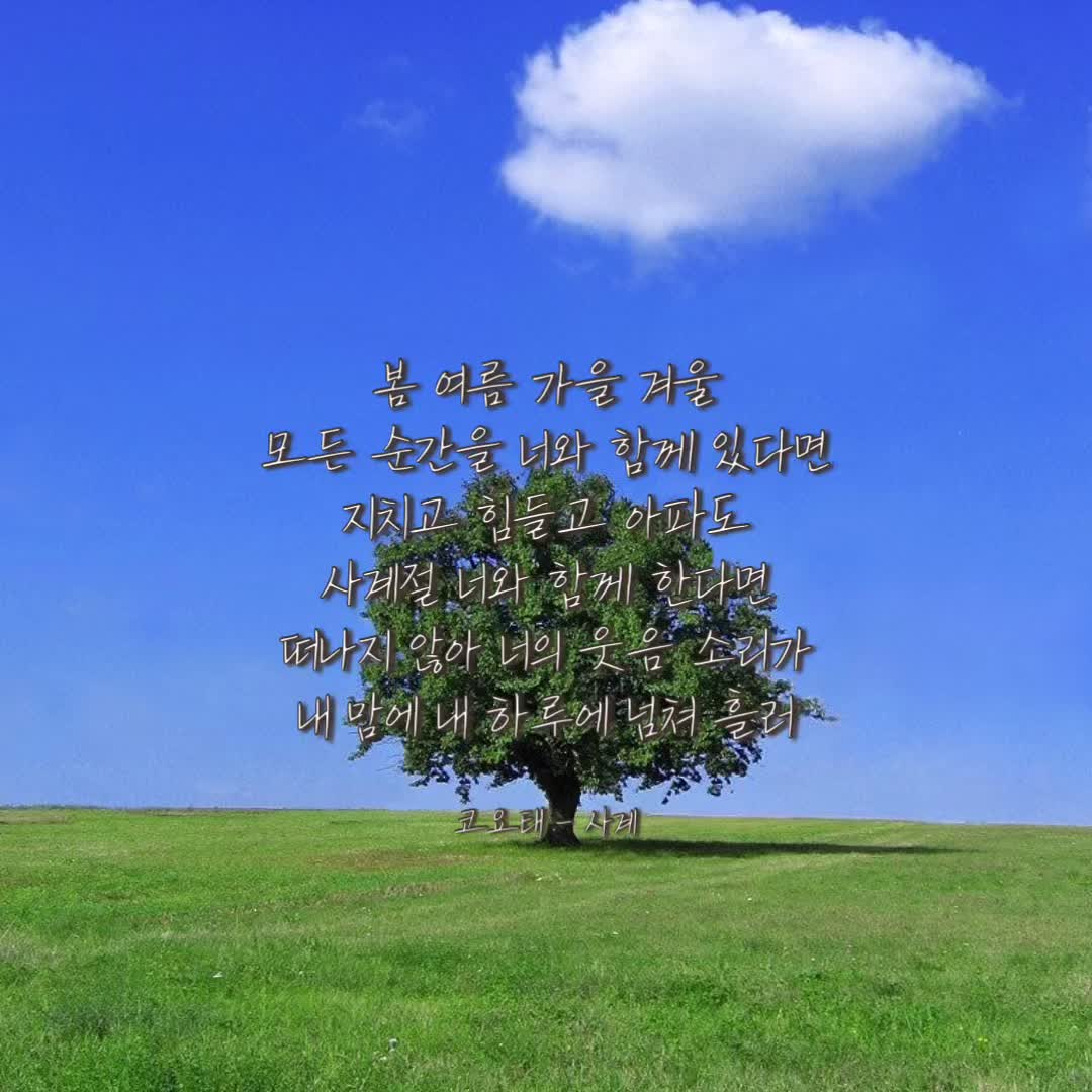 @썽플리🎧