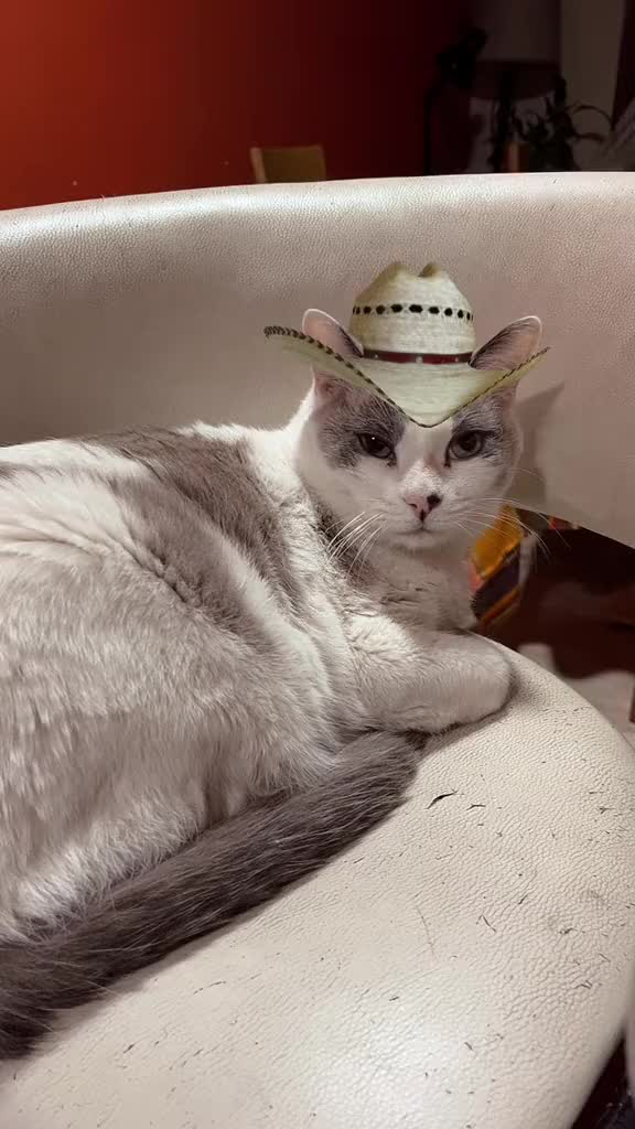 @ximmmau