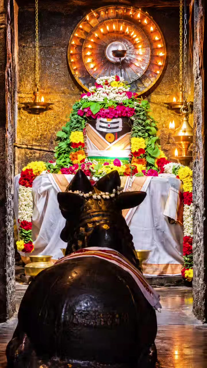 @shashanth Bharath