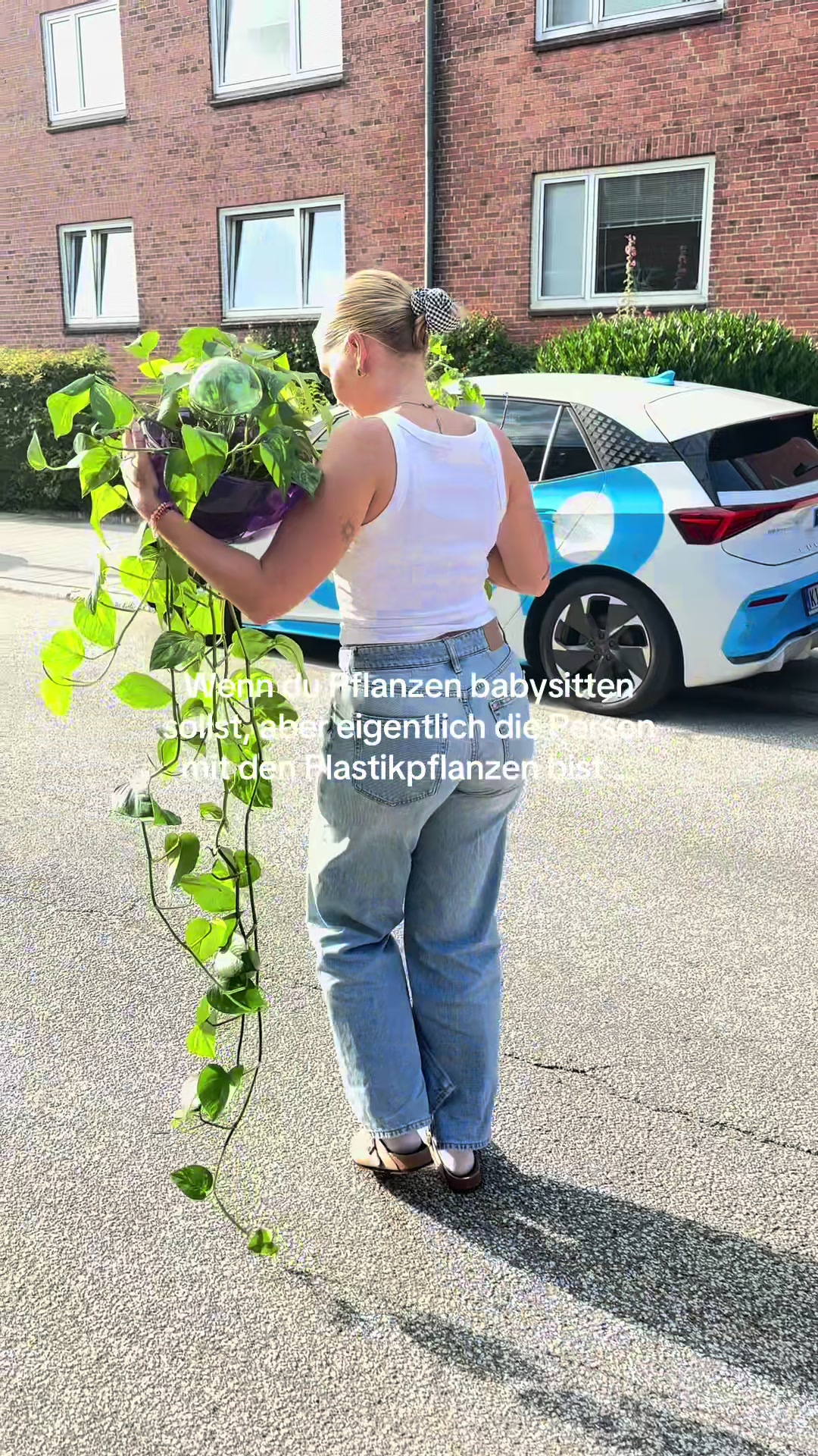 @vegawulff