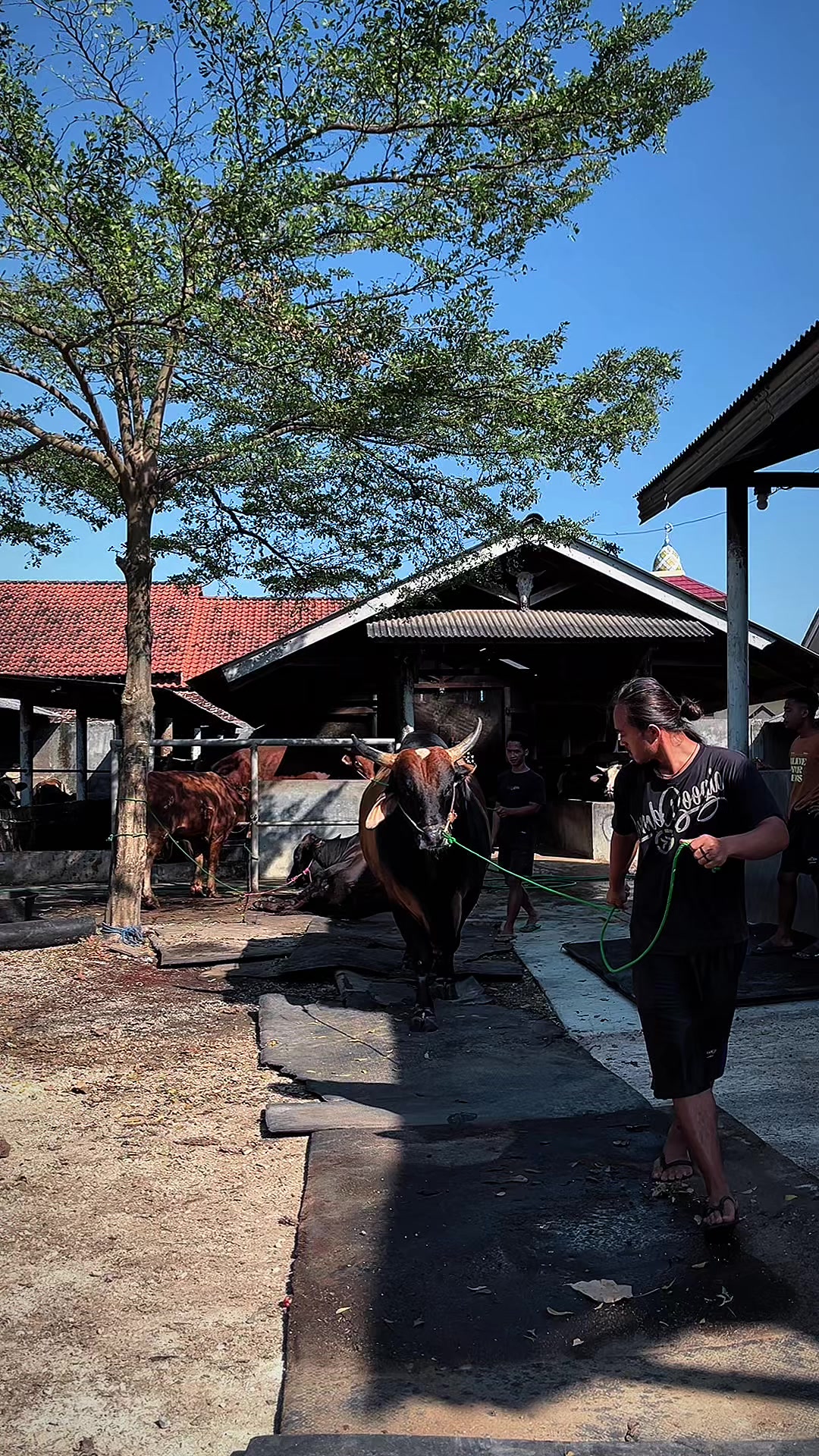 @Wisnu Farm Lampung