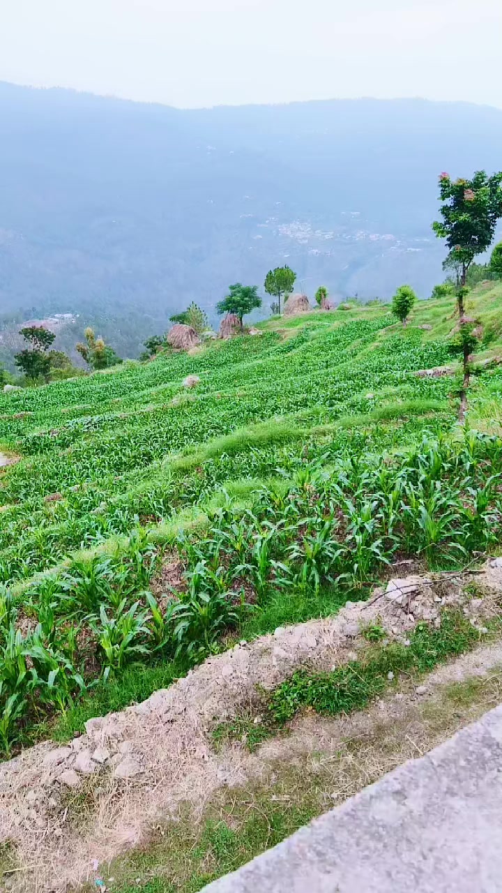 @بابرحان 2363699998🇵🇰