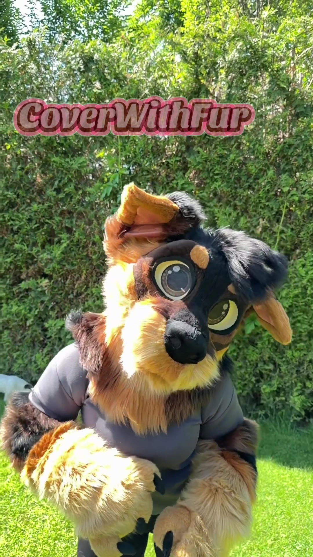 @CoverWithFur