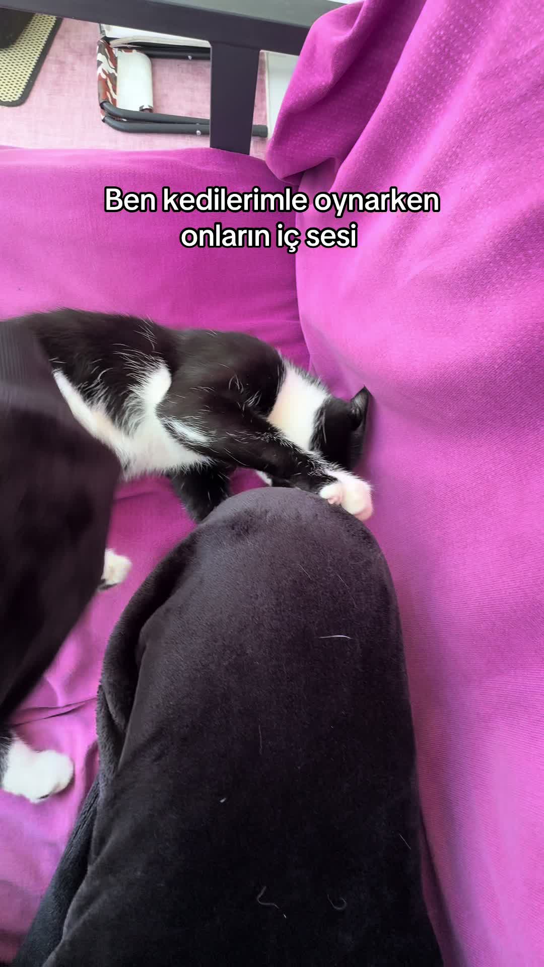 @R&uuml;ya g&uuml;lderen