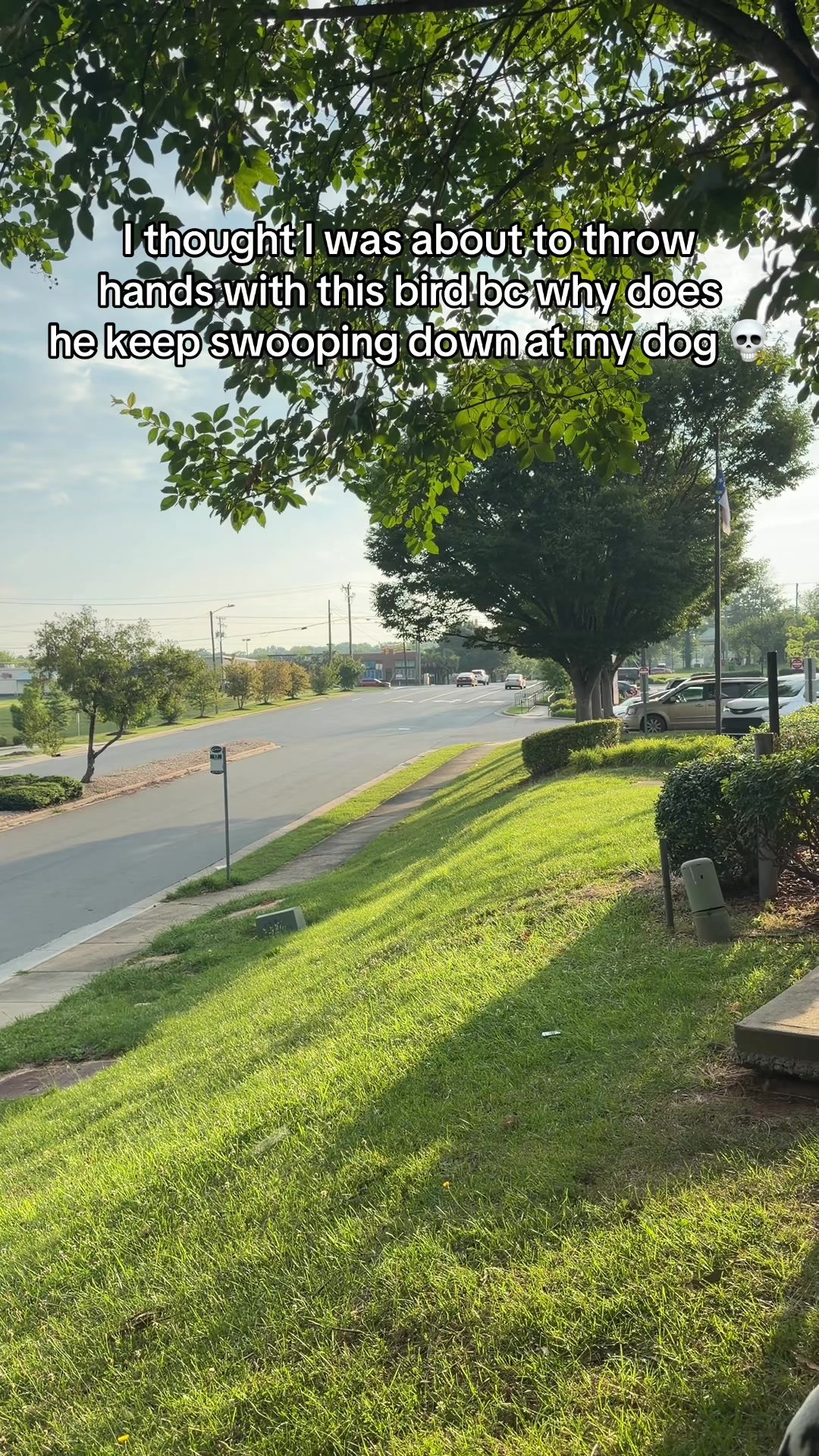 @stonethedane