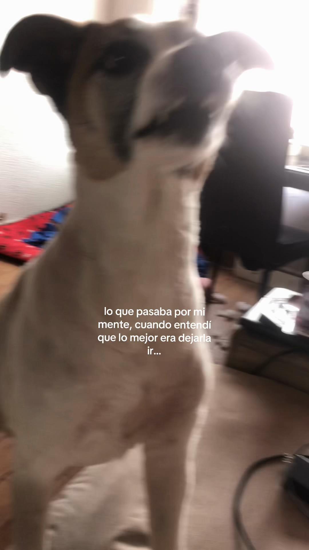 @isa_zm