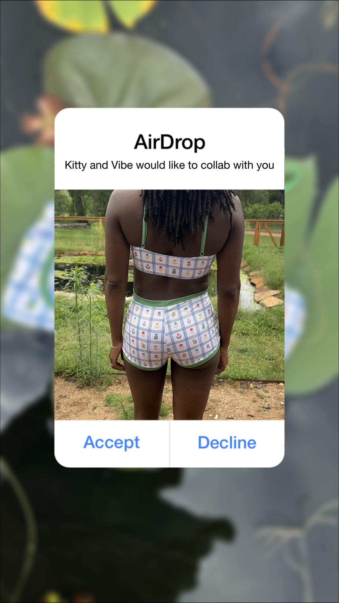 @Kitty and Vibe