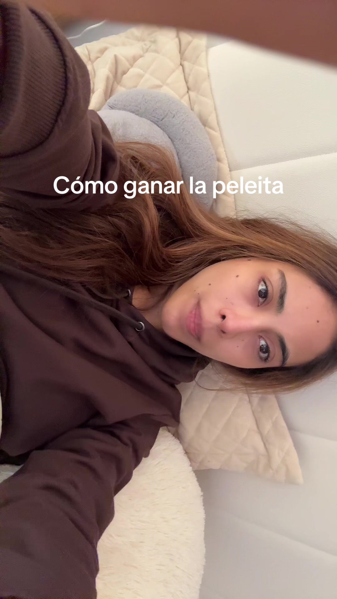 @sofilacuriosaa