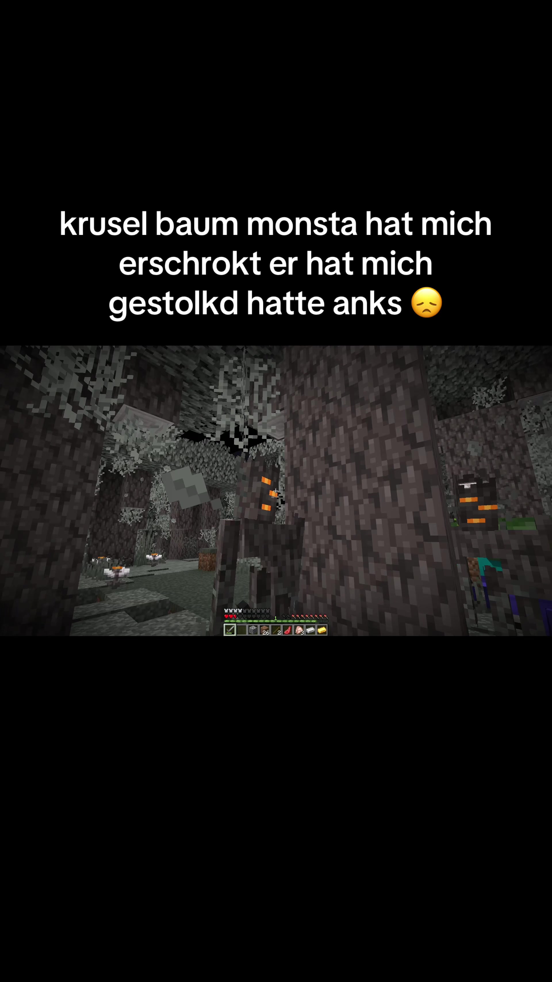 @minecraftalexcool33