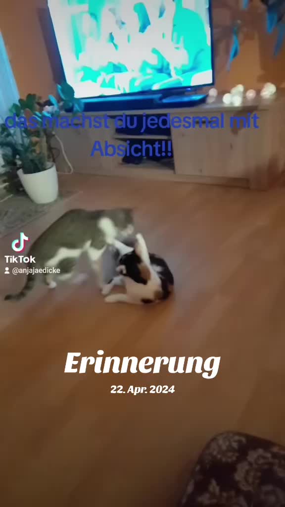 @ahornsirup