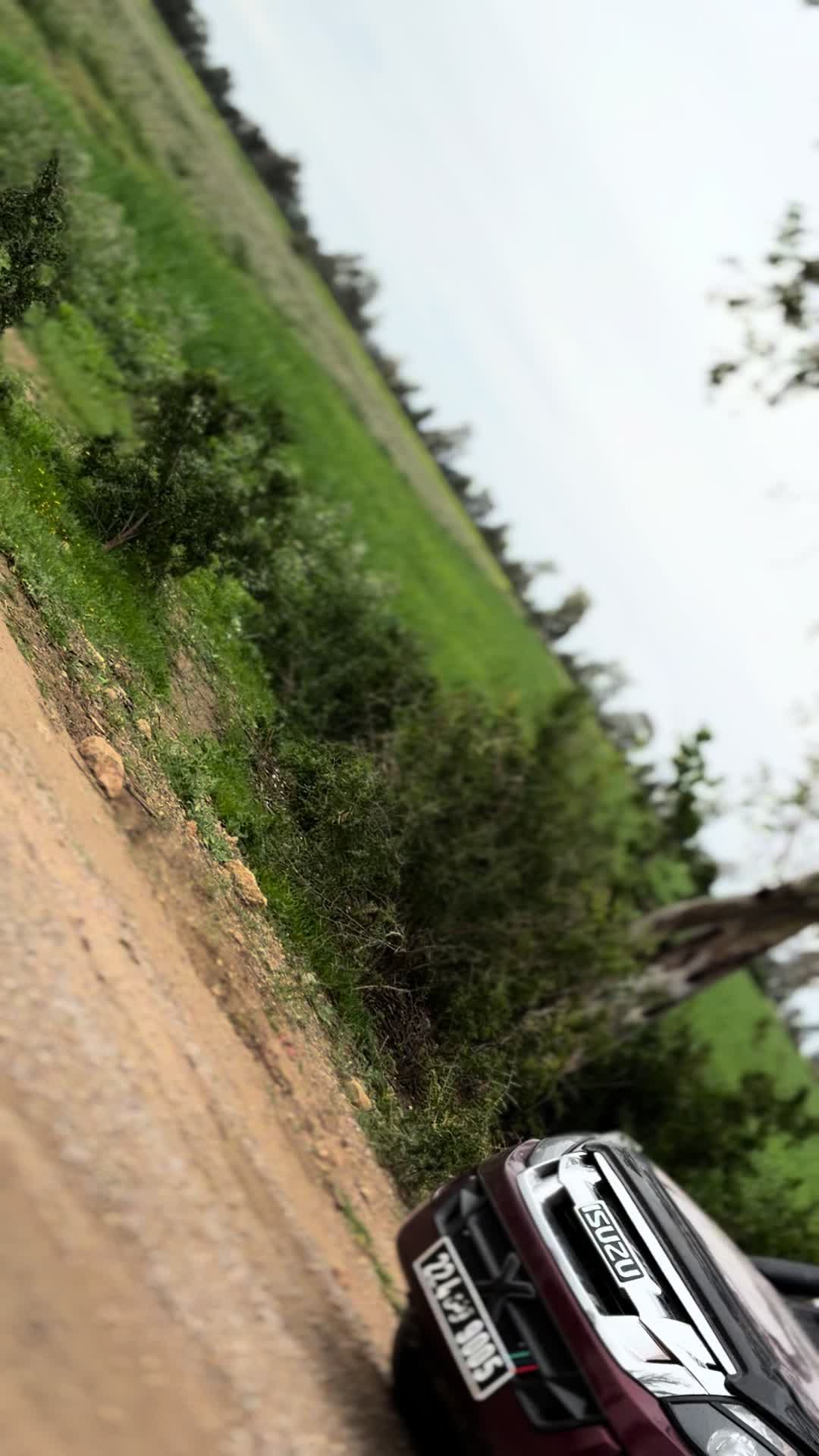 @Hama Farjallah 