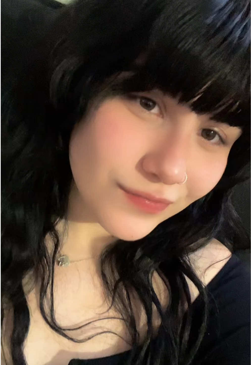 @meivesz