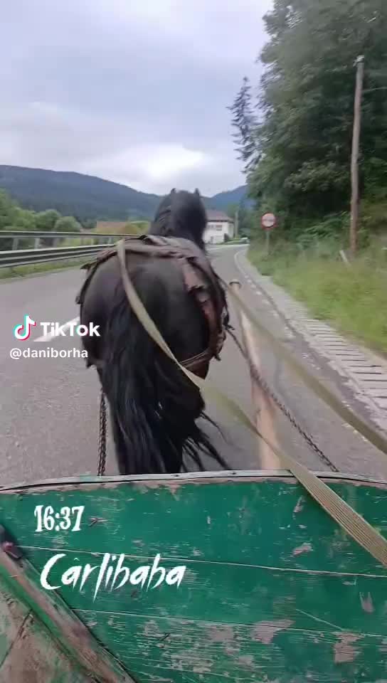 @Setriuc Mariana
