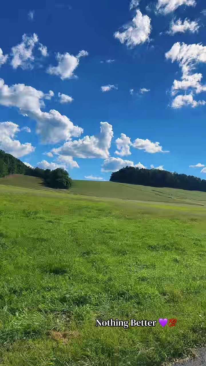 @Danigurl🦮🏇🌅