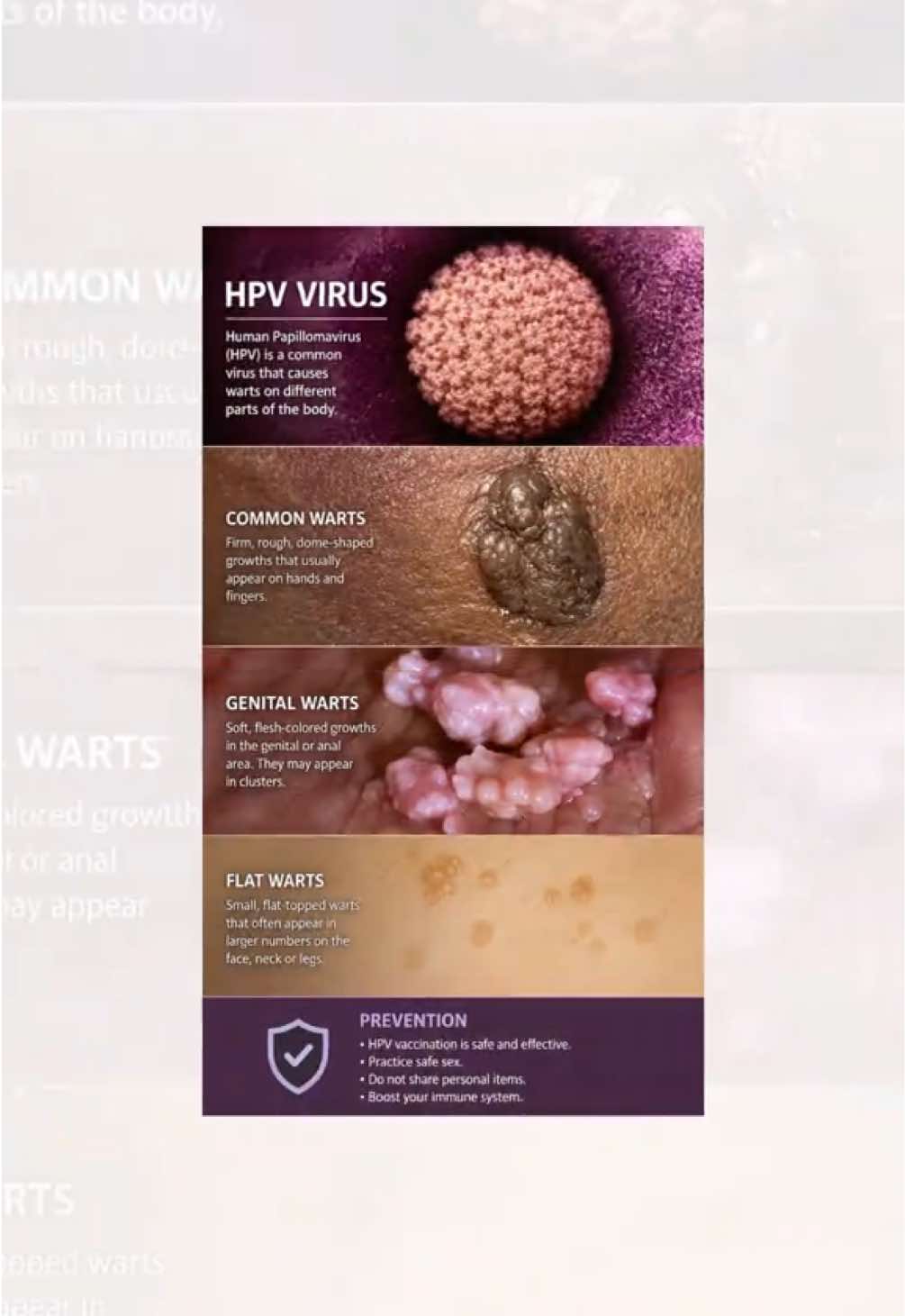@Skin Dictionary