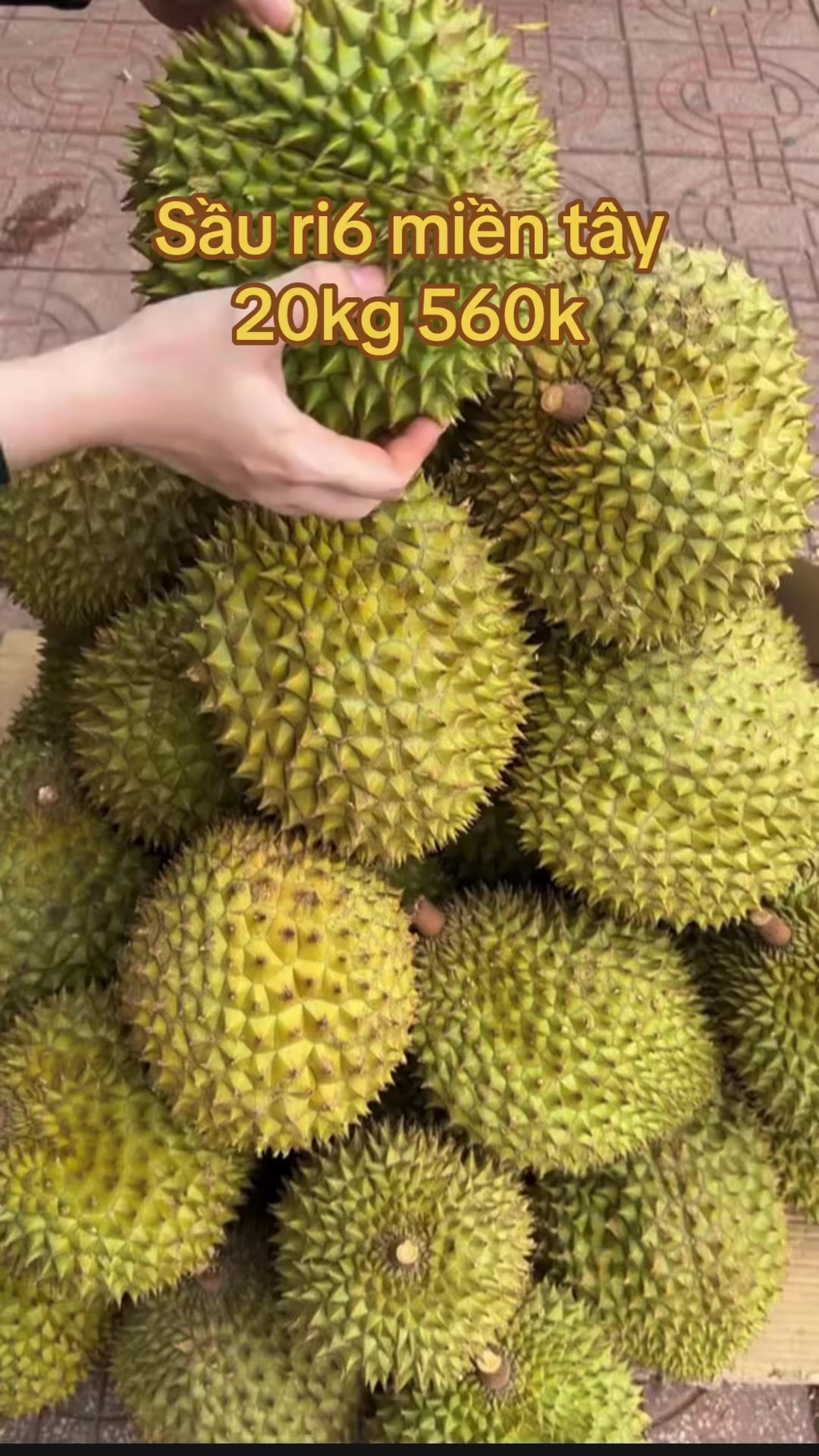 @traicaynhavuon2