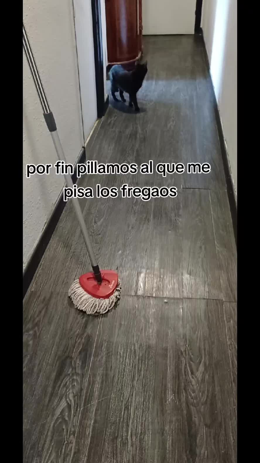 @Ana y los cuatro🐾