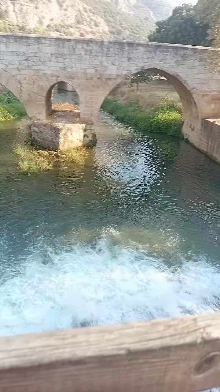 @Havva Güney