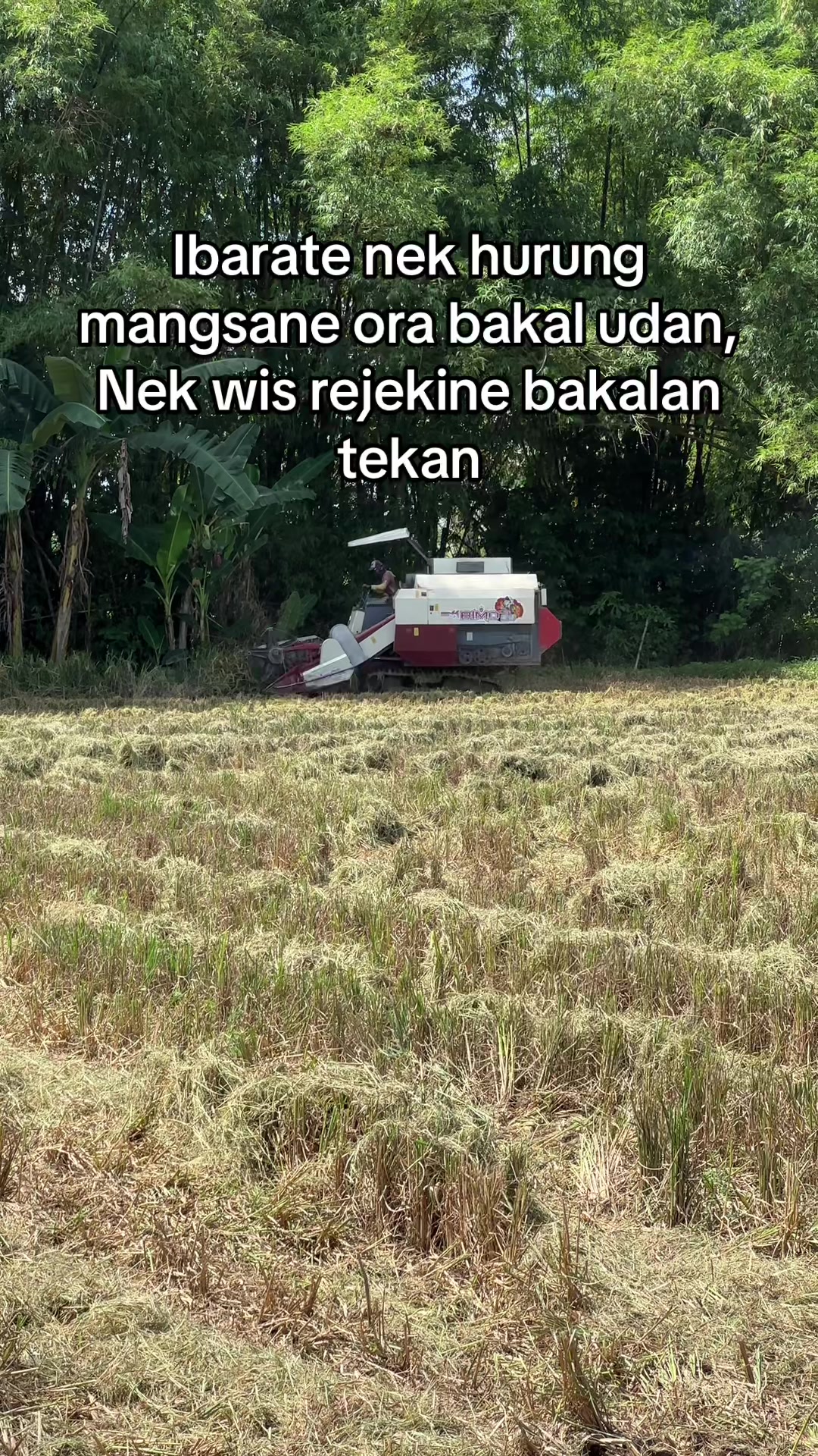 @yuniaasw05