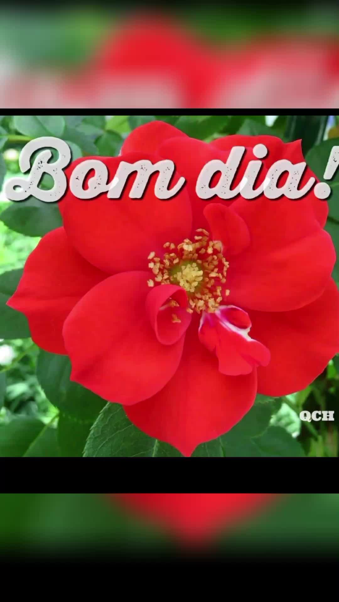 @Edna dos Santos