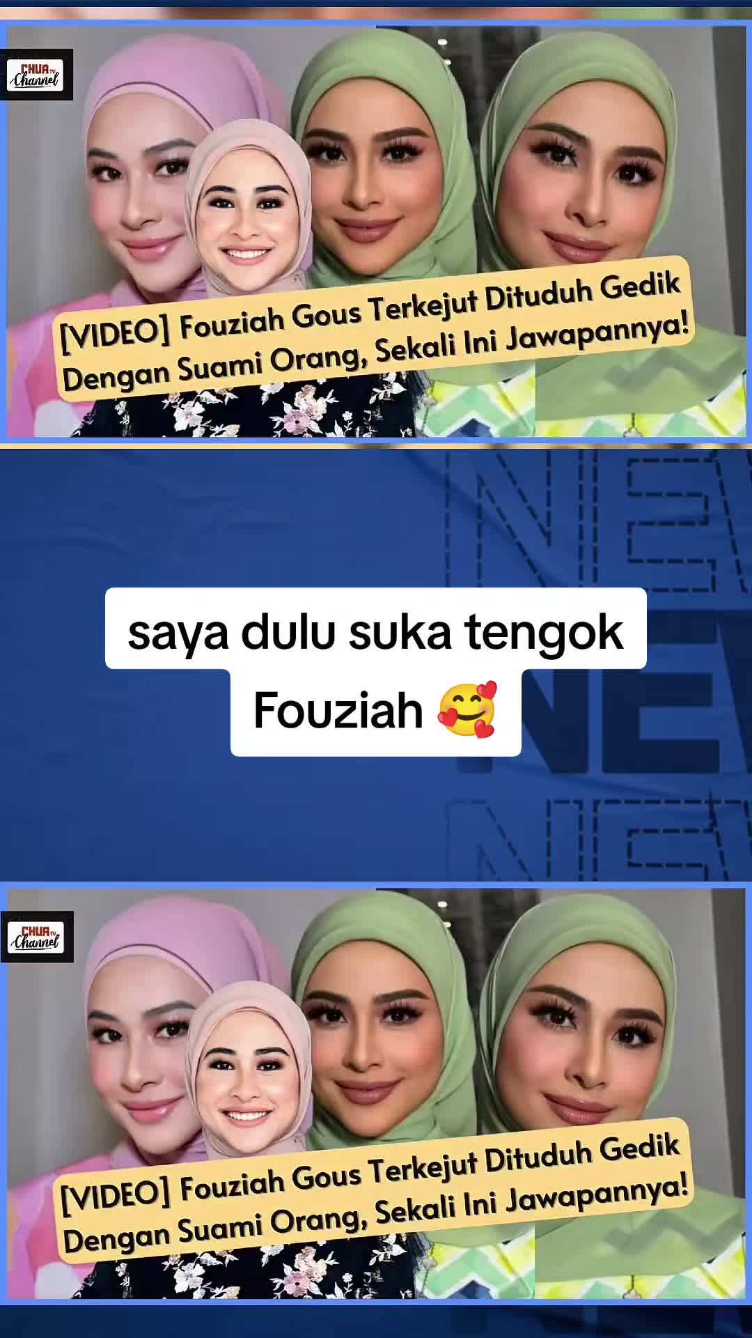 @Netizen Malaya